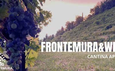 FRONTEMURA CANTINA APERTA – TERMINATO